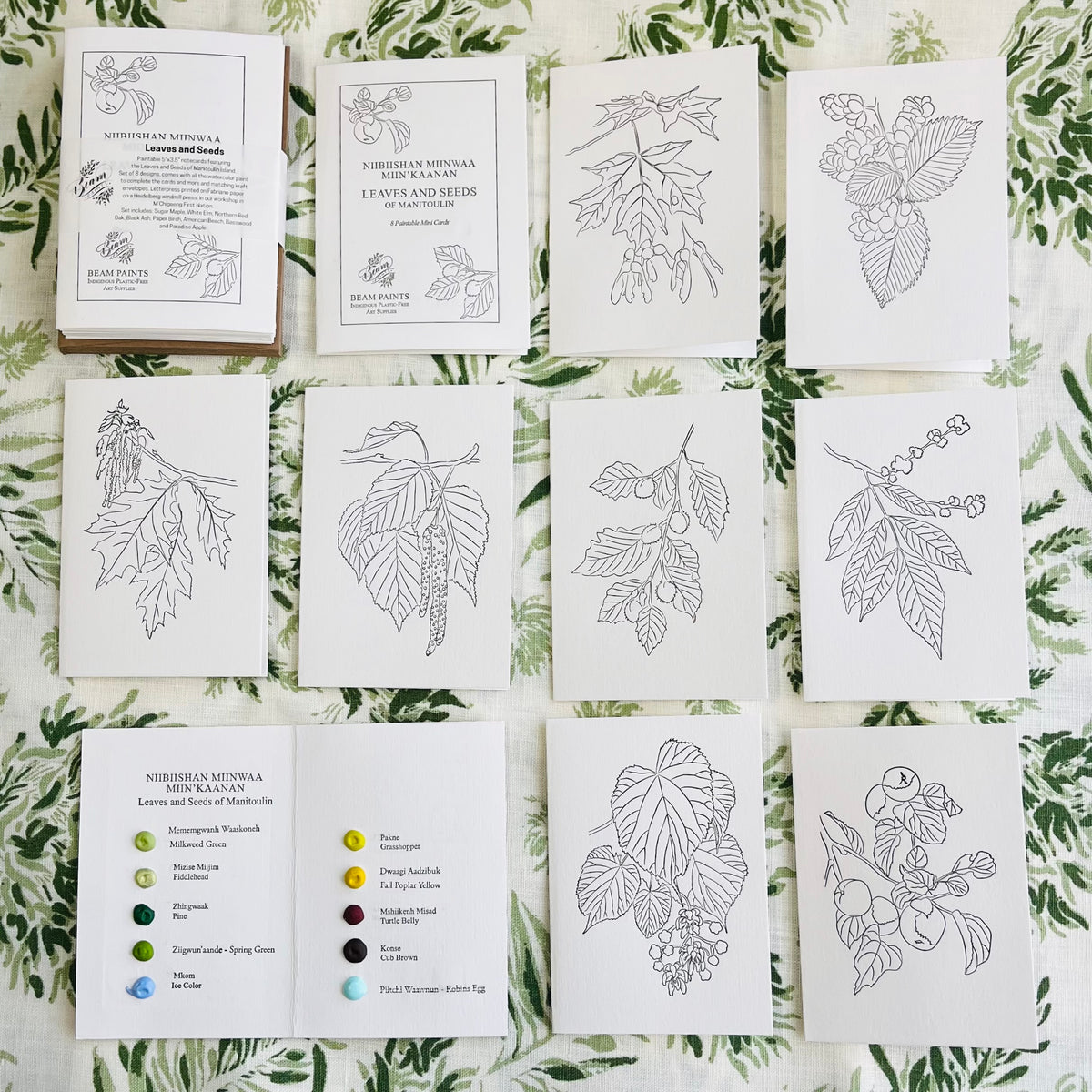 Beam Paints -Leaves and Seeds-