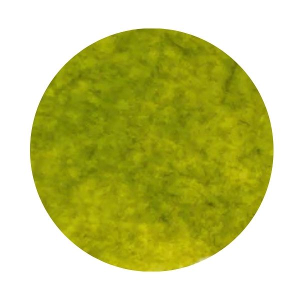 Spring Green